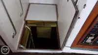 ଡାଇଭ୍ ସପୋର୍ଟ ବିକ୍ରୟ ପାଇଁ