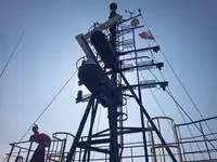 ଟୋବୋଟ୍ ବିକ୍ରୟ ପାଇଁ