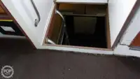 ଡାଇଭ୍ ସପୋର୍ଟ ବିକ୍ରୟ ପାଇଁ