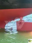 ବଲ୍କ କ୍ୟାରିୟର ବିକ୍ରୟ ପାଇଁ