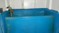 ଲଙ୍ଗଲାଇନର ବିକ୍ରୟ ପାଇଁ