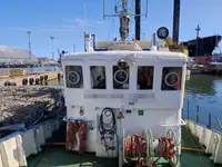 ଟୋବୋଟ୍ ବିକ୍ରୟ ପାଇଁ