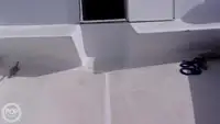 ଡାଇଭ୍ ସପୋର୍ଟ ବିକ୍ରୟ ପାଇଁ