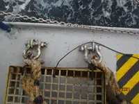 ରୀଫର ଜାହାଜ ବିକ୍ରୟ ପାଇଁ