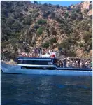 ଫେରୀ ଜାହାଜ ବିକ୍ରୟ ପାଇଁ