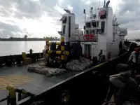 ଟୋବୋଟ୍ ବିକ୍ରୟ ପାଇଁ