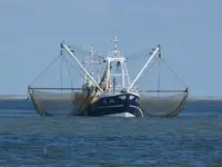 Trawler ବିକ୍ରୟ ପାଇଁ