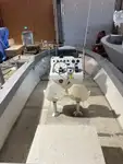 କାର୍ଯ୍ୟକାରୀ ନୌକା ବିକ୍ରୟ ପାଇଁ