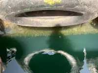 ଟୋବୋଟ୍ ବିକ୍ରୟ ପାଇଁ