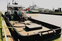 ଟୋବୋଟ୍ ବିକ୍ରୟ ପାଇଁ