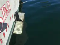 ଟ୍ରଲର ବିକ୍ରୟ ପାଇଁ