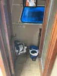 କ୍ରୁ ବୋଟ୍ ବିକ୍ରୟ ପାଇଁ
