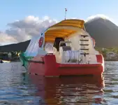 ଫେରୀ ଜାହାଜ ବିକ୍ରୟ ପାଇଁ