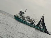 ପର୍ସ ସେନେର ବିକ୍ରୟ ପାଇଁ