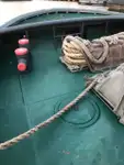 ଟୋବୋଟ୍ ବିକ୍ରୟ ପାଇଁ