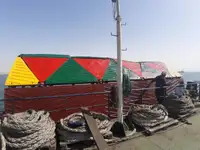 ବଲ୍କ ବାହକ | ବିକ୍ରୟ ପାଇଁ