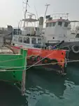 ଟୋବୋଟ୍ ବିକ୍ରୟ ପାଇଁ