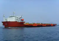 ବଲ୍କ କ୍ୟାରିୟର ବିକ୍ରୟ ପାଇଁ