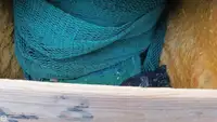 ଟ୍ରଲର ବିକ୍ରୟ ପାଇଁ