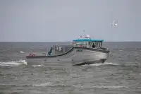 ଯାତ୍ରୀ ଜାହାଜ ବିକ୍ରୟ ପାଇଁ