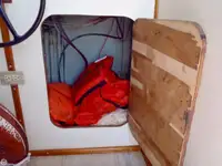 ଟୋବୋଟ୍ ବିକ୍ରୟ ପାଇଁ