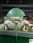 ରୋ-ରୋ ଜାହାଜ ବିକ୍ରୟ ପାଇଁ