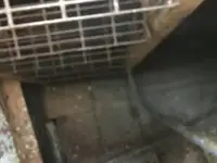 ଟୋବୋଟ୍ ବିକ୍ରୟ ପାଇଁ