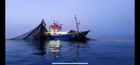 Trawler ବିକ୍ରୟ ପାଇଁ