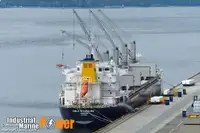 ବଲ୍କ କ୍ୟାରିୟର ବିକ୍ରୟ ପାଇଁ
