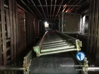 ସ୍କ୍ୱିଡ୍ ଜିଗର ବିକ୍ରୟ ପାଇଁ