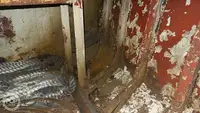 ଟୋବୋଟ୍ ବିକ୍ରୟ ପାଇଁ