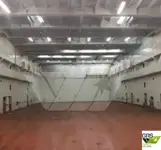 ରୋ-ରୋ ଜାହାଜ ବିକ୍ରୟ ପାଇଁ