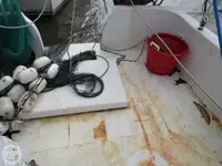 ଟ୍ରଲର ବିକ୍ରୟ ପାଇଁ