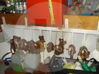 ବିମ୍ ଟ୍ରଲର ବିକ୍ରୟ ପାଇଁ