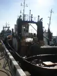 ଟୋବୋଟ୍ ବିକ୍ରୟ ପାଇଁ