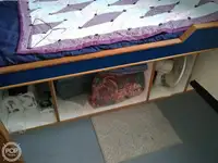 କଟର ବିକ୍ରୟ ପାଇଁ