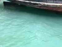 ଟୋବୋଟ୍ ବିକ୍ରୟ ପାଇଁ