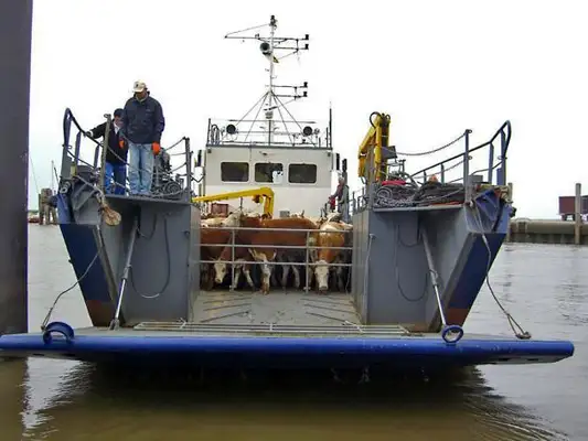 Landing Craft, Tank for sale