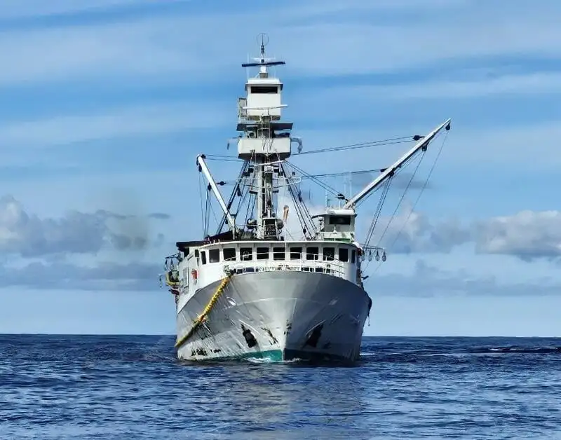 ସେନର୍ ବିକ୍ରୟ ପାଇଁ