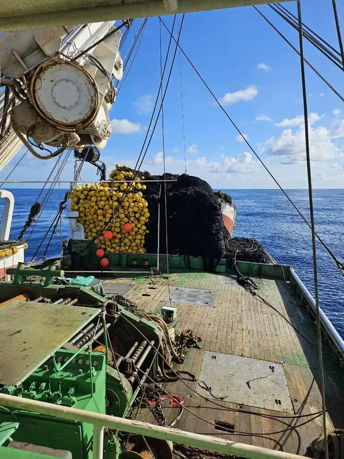 ସେନର୍ ବିକ୍ରୟ ପାଇଁ