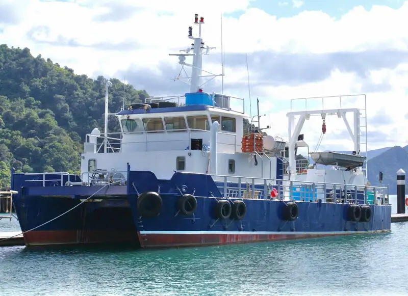 କାଟାମାରାନ୍ | ବିକ୍ରୟ ପାଇଁ