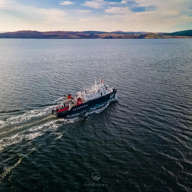 ସର୍ଭେ ପାତ୍ର | ବିକ୍ରୟ ପାଇଁ