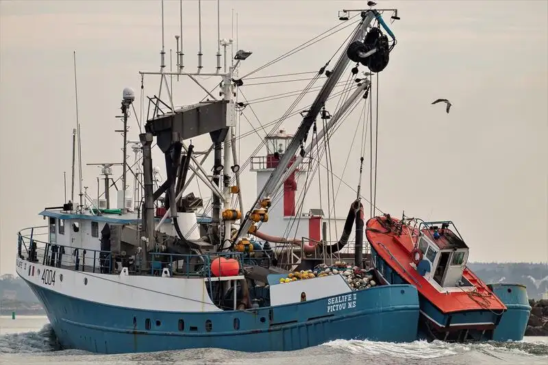 ସେନର୍ ବିକ୍ରୟ ପାଇଁ