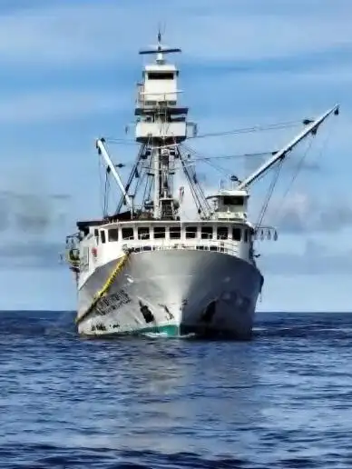 ସେନର୍ ବିକ୍ରୟ ପାଇଁ