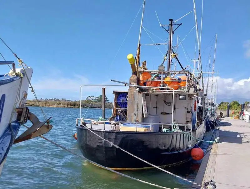 ଲଙ୍ଗଲାଇନ୍ ପାତ୍ର | ବିକ୍ରୟ ପାଇଁ