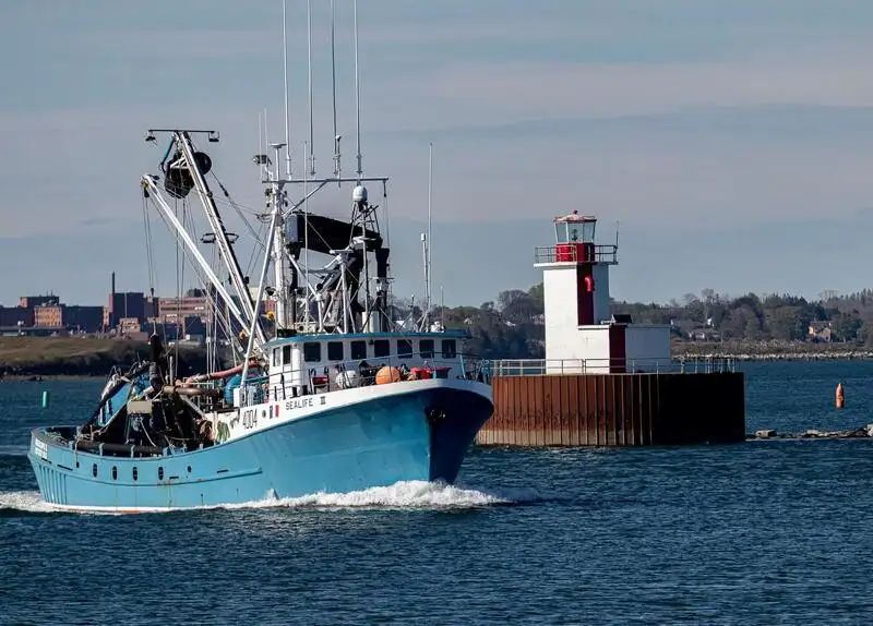 ସେନର୍ ବିକ୍ରୟ ପାଇଁ