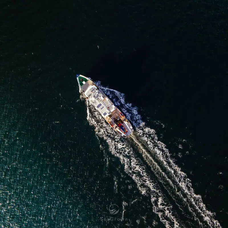 ସର୍ଭେ ପାତ୍ର | ବିକ୍ରୟ ପାଇଁ