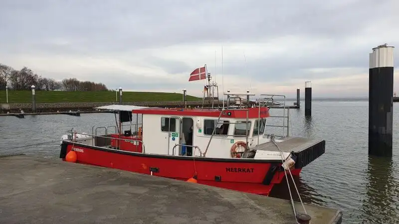 କାଟାମାରାନ୍ | ବିକ୍ରୟ ପାଇଁ