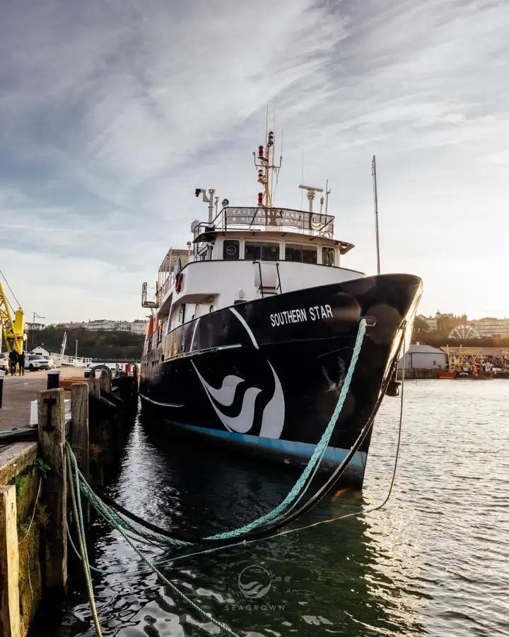 ସର୍ଭେ ପାତ୍ର | ବିକ୍ରୟ ପାଇଁ