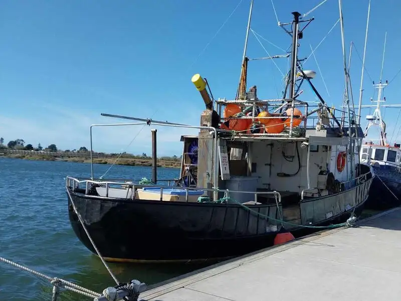 ଲଙ୍ଗଲାଇନ୍ ପାତ୍ର | ବିକ୍ରୟ ପାଇଁ